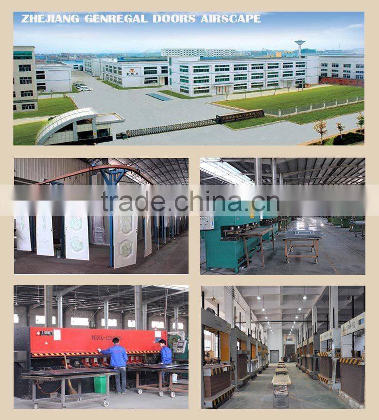 Luxury heat isolated steel wood polyurethane foam door