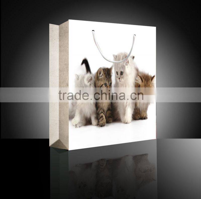 Foldable Cheap Paper Shopping Bag,Reusable Bag Shopping
