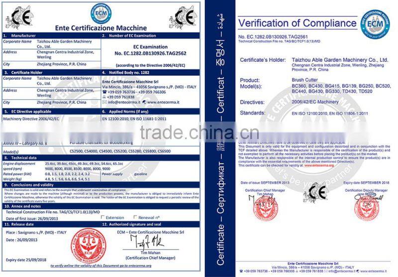 Mini 2-stroke gasoline chainsaw 4010 with recoil starter