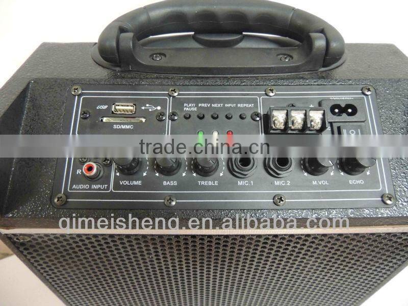 Double 6" subwoofer portable speaker with USB/SD/FM/Wireless Mic/Guitar input/Remote control