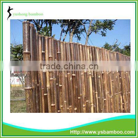 Nature bamboo safety fencing
