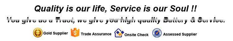 Deep Cycle Green EVS Electric Bike Battery 36V 24Ah with Samsung Cell , 36V 800W Electric Bike Battery