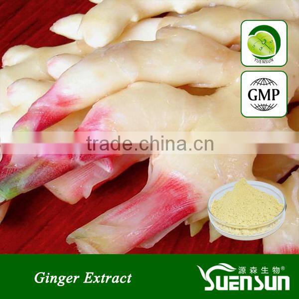 Pharmaceutical & healthcare grade dried ginger powder price