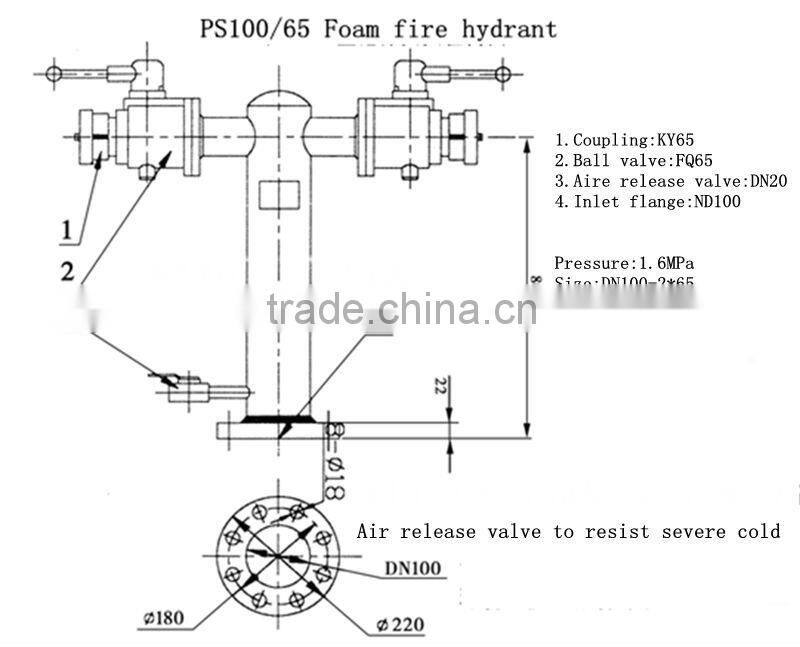 Foam fire hydrant fire hydrant system