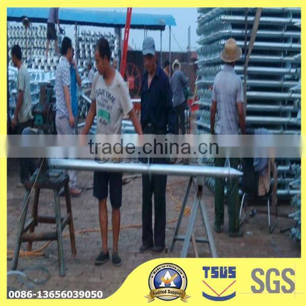 Galvanized Screw Pile