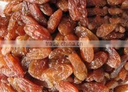 Dried red raisin