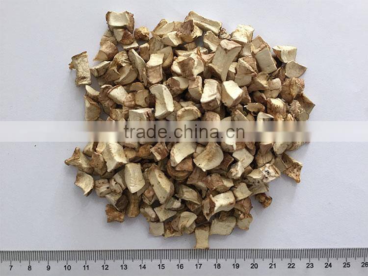 Dried oyster Mushroom spawn power price