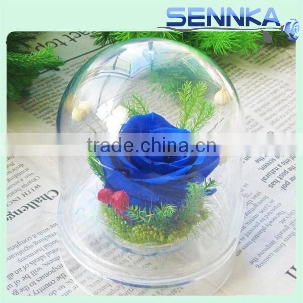 2016 Natural Preserved Fresh Flower in Hot Design High Transparency Pyrex Glass Dome with Base