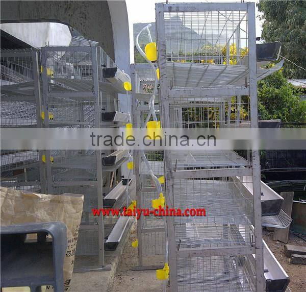 hot sale laying cage for quail
