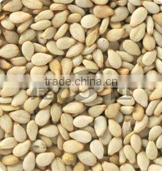 CCD sesame color sorter, get highly praise by customers