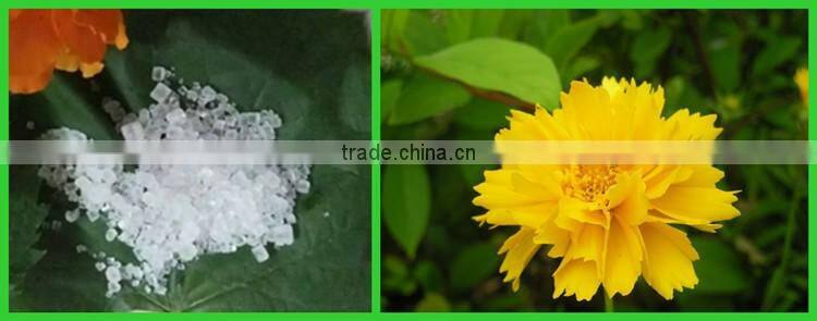 Nitrogen Fertilizer 2-4mm caprolactam ammonium sulphate made in Shandong