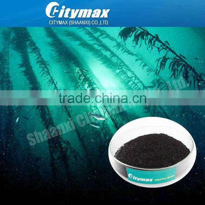 Factory Supply High Quality Seaweed Extract