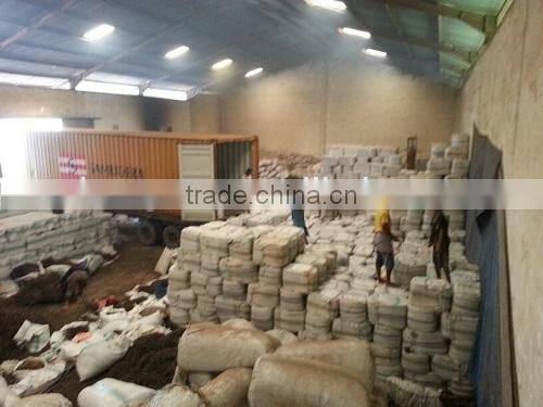 2017 New Dried Sargassum seaweed