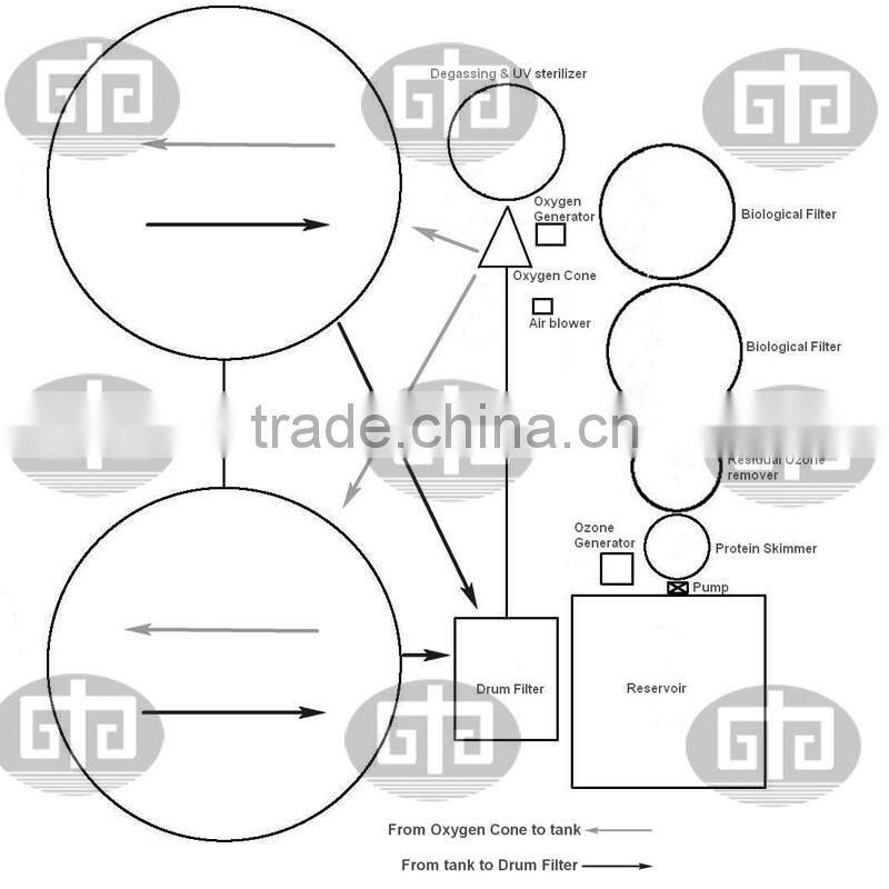 Aquaculture Factory Indoor Fish Farm Design