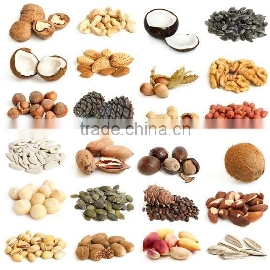 Siemens Motors for 300TD Sunflower Oil Extraction Machine Price in China