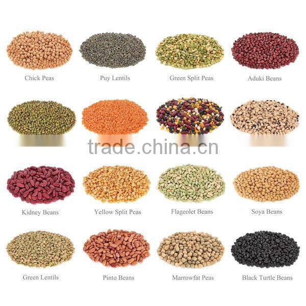 Manufacturer of high efficiency automatic grain vibrating cleaning sieve