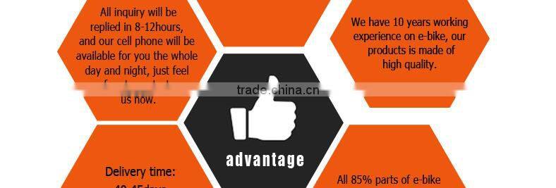 2014 new electric bike middle motor