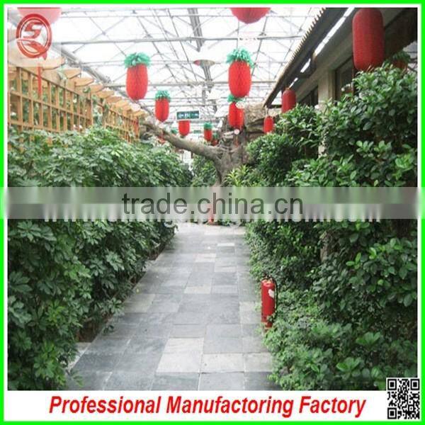 Hot sale 10.8m multi-span Venlo glass greenhouse grow tent for agriculture