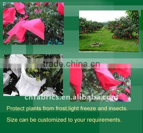 fruit tree covers