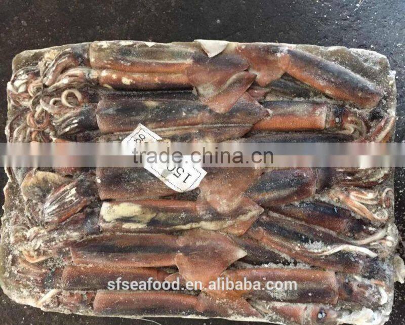 Health Food Frozen Illex Squid With High Nutritious Value