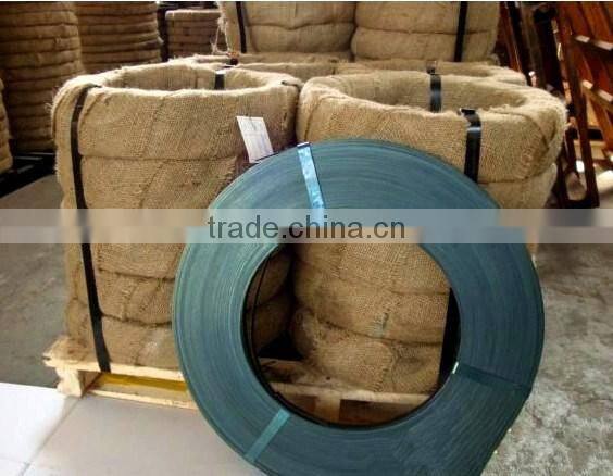 Steel Strip/Dark Blue Steel Strip/Strips in Price