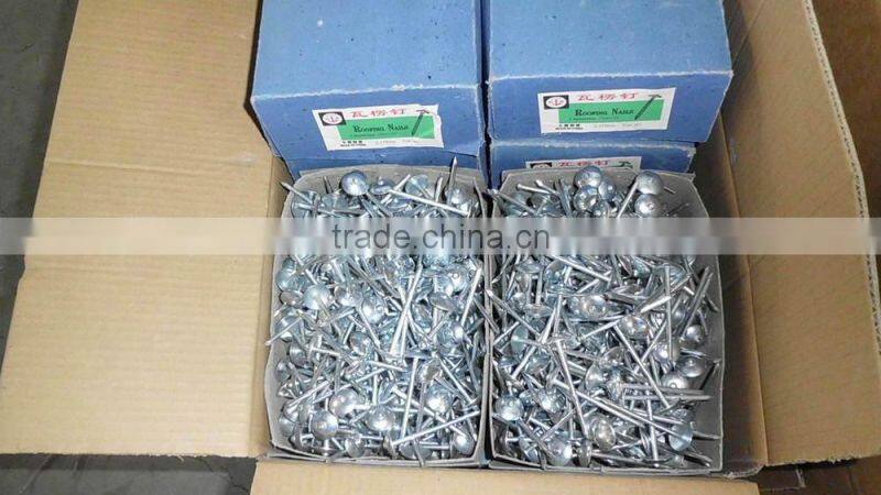 BWG13X 1-3/4" electro galvanized roofing nail with umbrella head