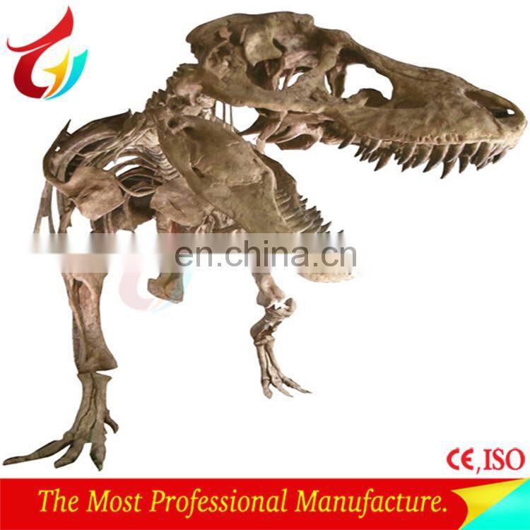 Life size dinosaur skeleton model for sale