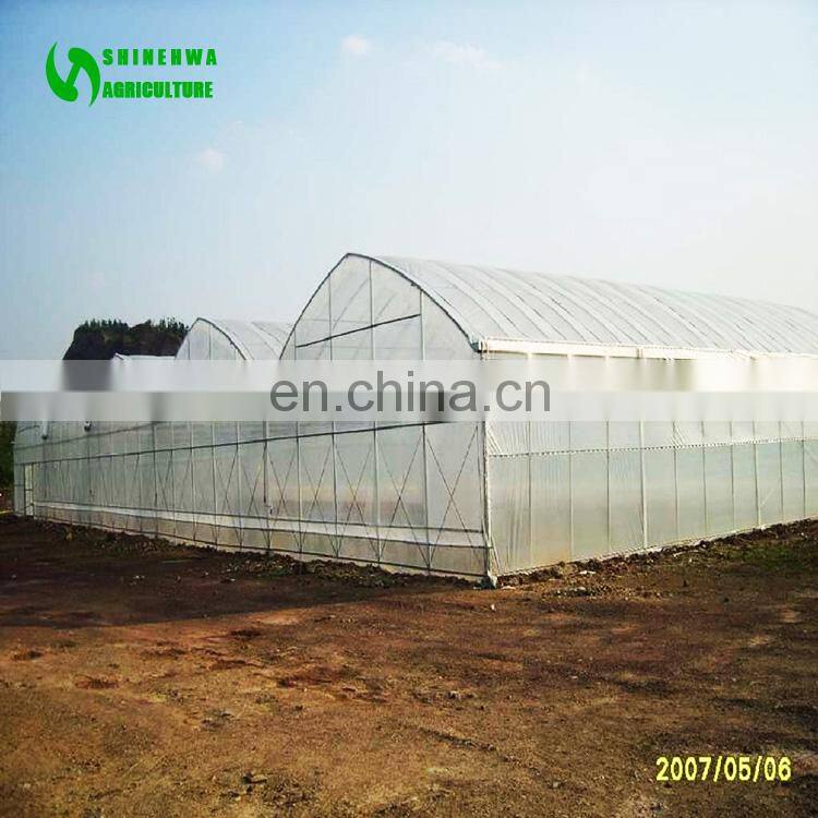 Hot Sale Tunnel/Single-span Plastic/film Greenhouse/Green House For Agriculture