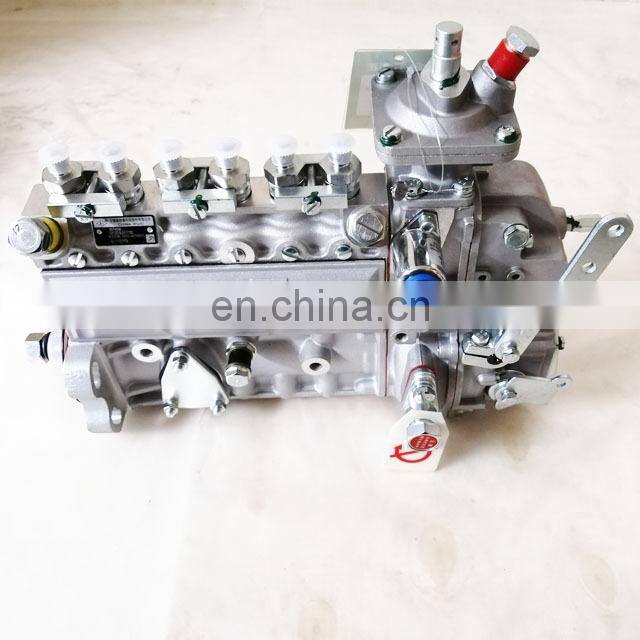 Original 6B 6BT 6BT5.9 5.9L Engine Spare Parts Fuel Injection Pump 3974596