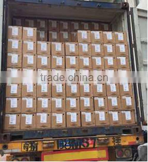 Mini Smart Self Balancing Electric Scooter/I1