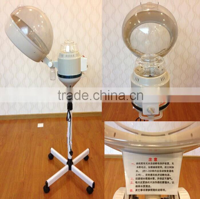 VY-202-L Professional hair steamer for salon/home use