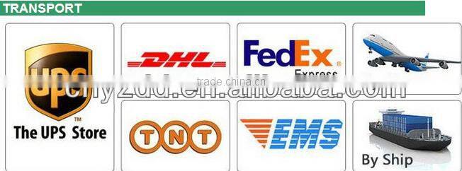 Plush Stuffed Toy Teddy Bear with Ribbon