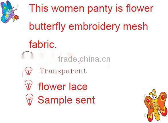 sexy transparent Light color lace belt underwear panty for young girl