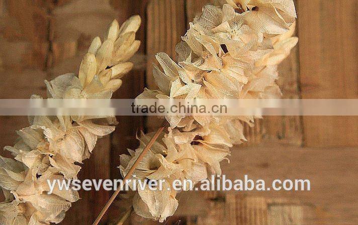 Didn't have chicken bell decorative flower simulation artificial flowers simulation flowers sitting room decorated the ground dr