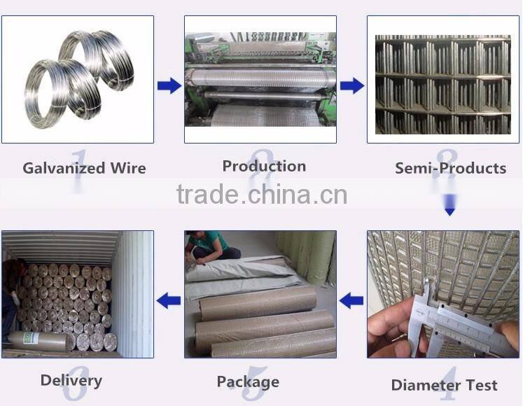 China PVC Coated Welded Wire Mesh Wholesale Price