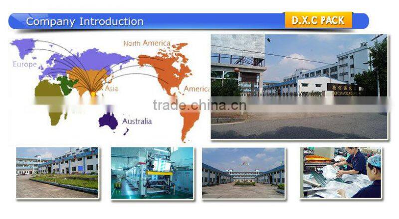 Aluminium Foil Lined Resealable Packing Pouch, Food Pouch Bag