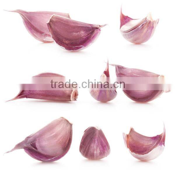 hot sale 2015 normal white garlic