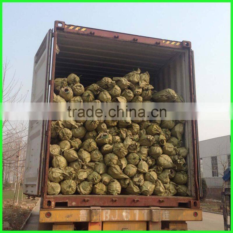 supply 100% UV resistance new PE anti insect protection net with best price