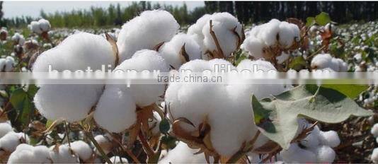 breast feeding nursing pads 100% original cotton manufacturer factory