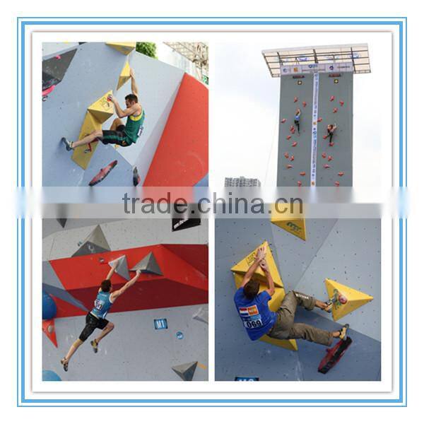 Vivid Looking Climbing Wall Holds