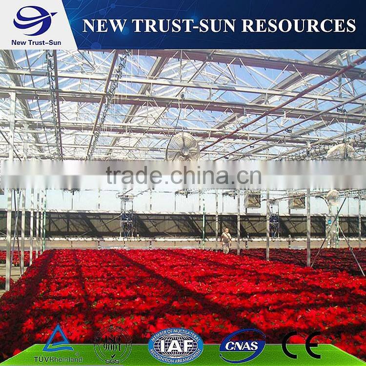 Multi-span agricultural glass greenhouse