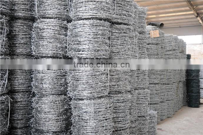 High quality 12#*12# galvanized barbed wire in China