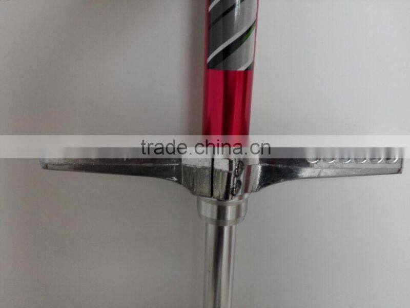 Rose red strong pogo stick
