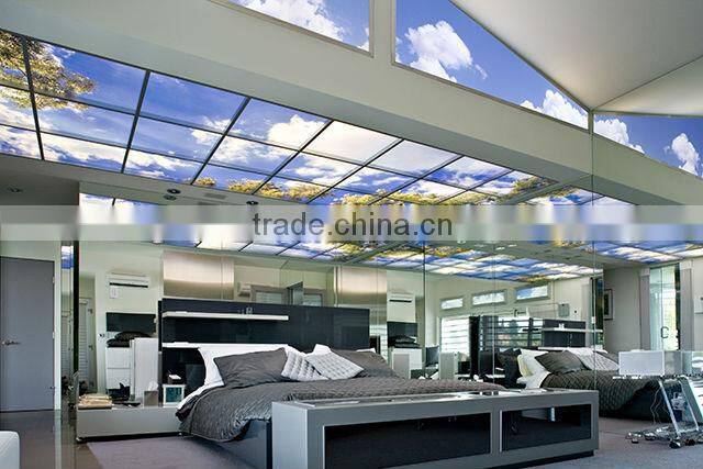 600*600mm Hospital Sky Ceil Panels