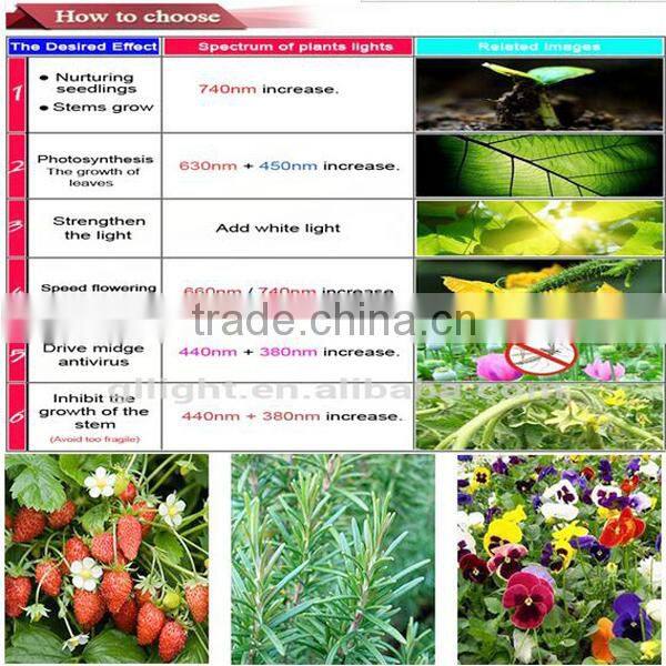 price greenhouses growing vegetables 14w led light grow led for plant growth