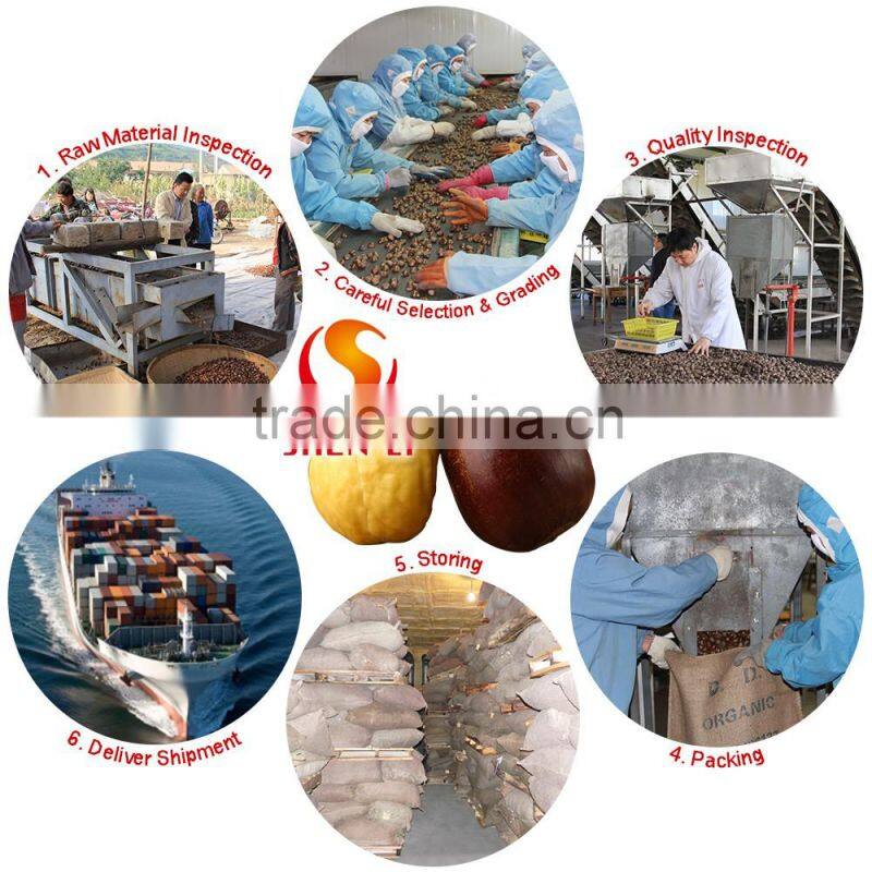 2016 Hot Sale Sweet Fresh Chestnut in Shell for Wholesale