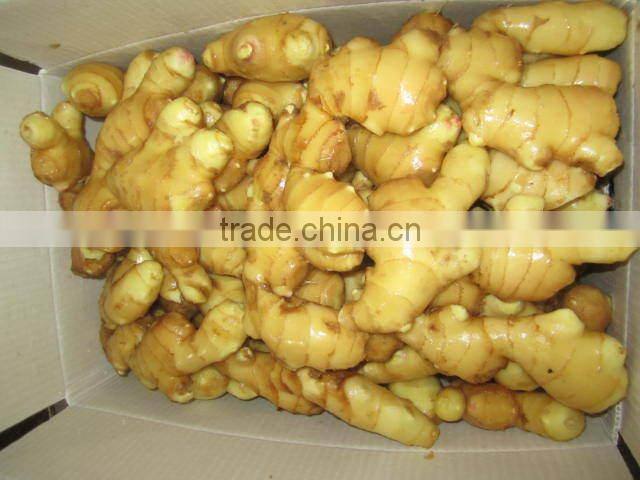 China air dried fresh ginger