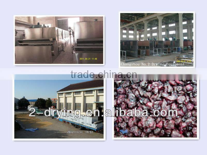 blue cherry drying machine