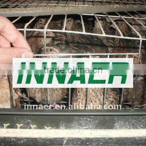 quail cage for sale(factory)