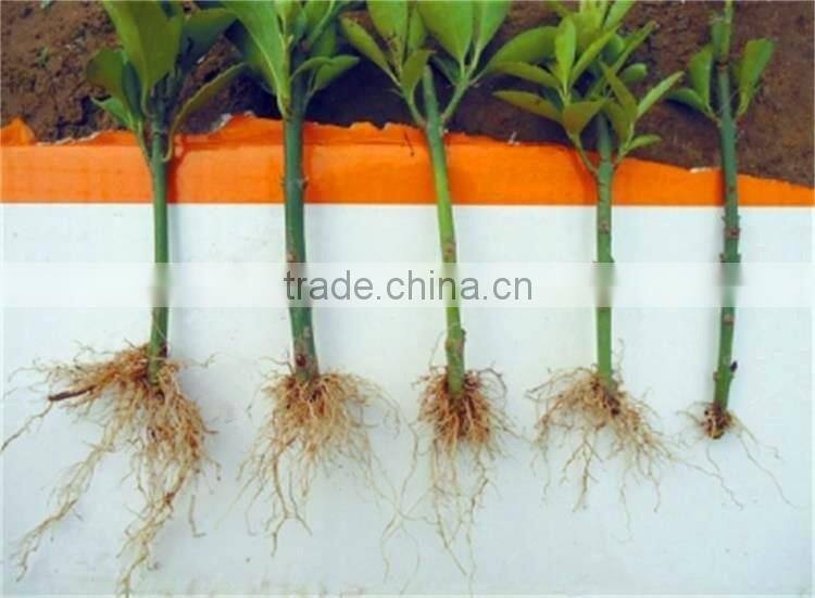 Manufaturer plant growth regulator iba for choice